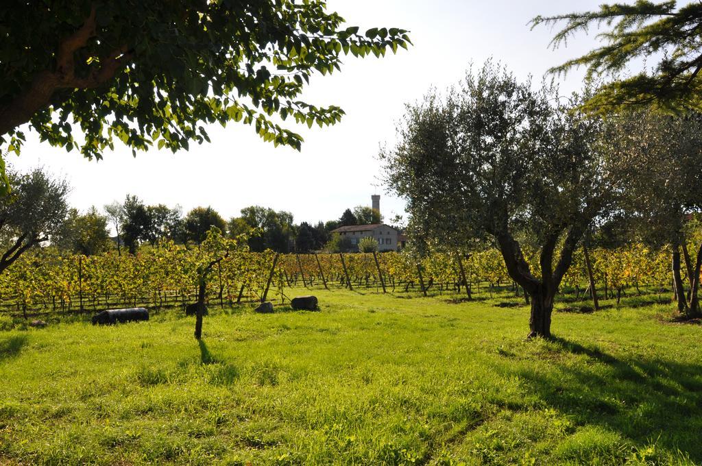 Agriturismo Armea Desenzano del Garda Exterior foto
